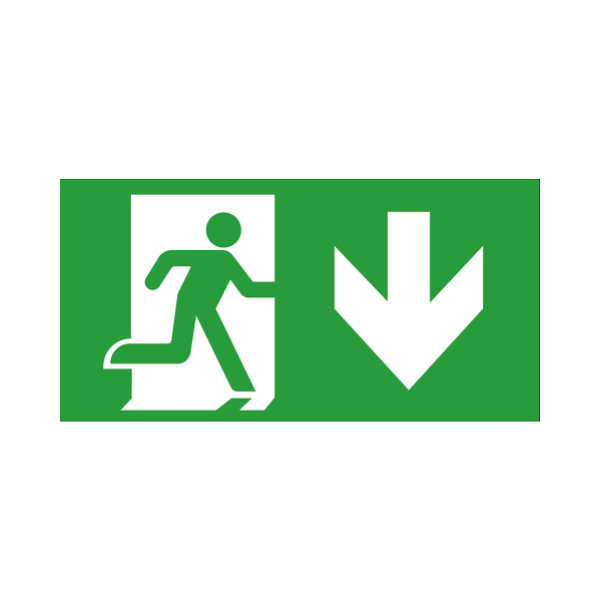 Arrow Signs for Bourne Multi-Installation DALI Emergency EXIT Blade – DOWN Arrow